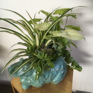 Elephant Planter